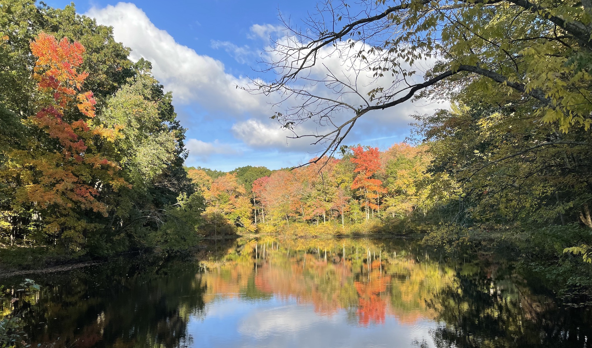 <em>Pond at junction of Ravine and Bonemill<br/>west of the UConn Storrs campus in October, 2021.</em>